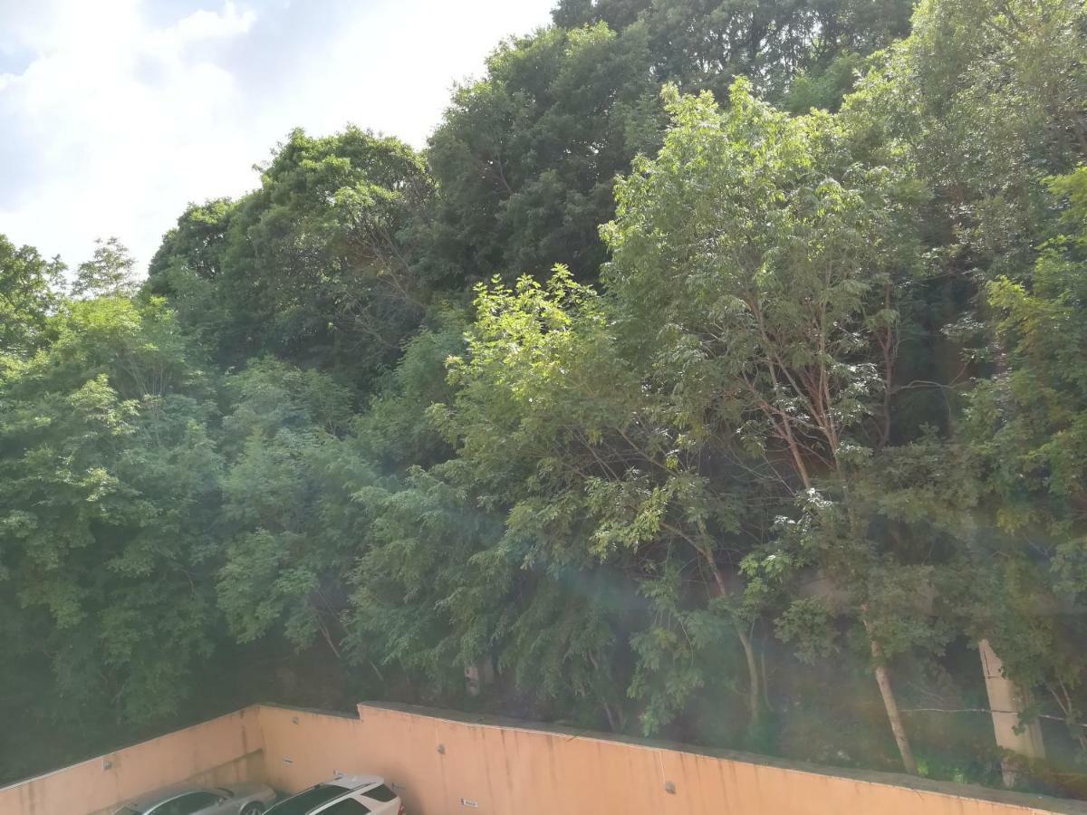 Sunrise Complex Apartments ゴールデンサンド エクステリア 写真